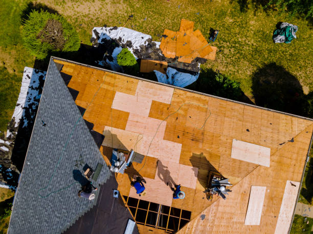 Best Tile Roofing Contractor  in Canton, TX