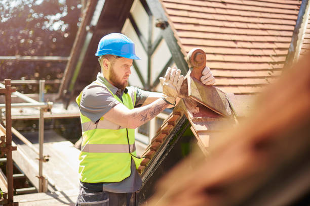 Roof Gutter Cleaning in Canton, TX
